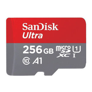 Micro SD with SD Adapter 256GB